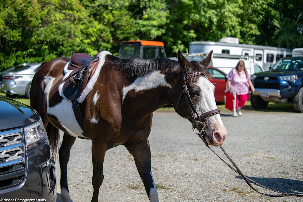 Topline Horse Center - Sunday