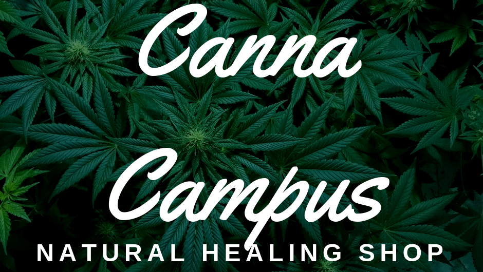 Canna Campus | 354 Lafayette Rd, Sparta Township, NJ 07871, USA | Phone: (973) 383-2739