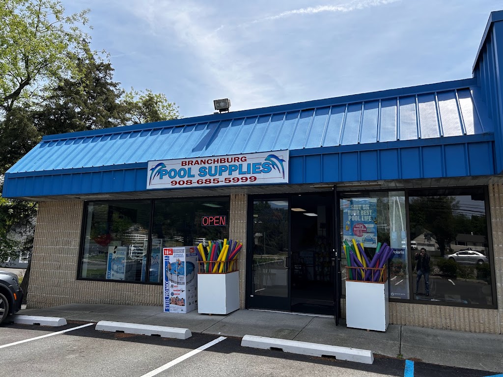 Branchburg Pool Supplies | 1035 US-202 North, Branchburg, NJ 08876, USA | Phone: (908) 685-5999