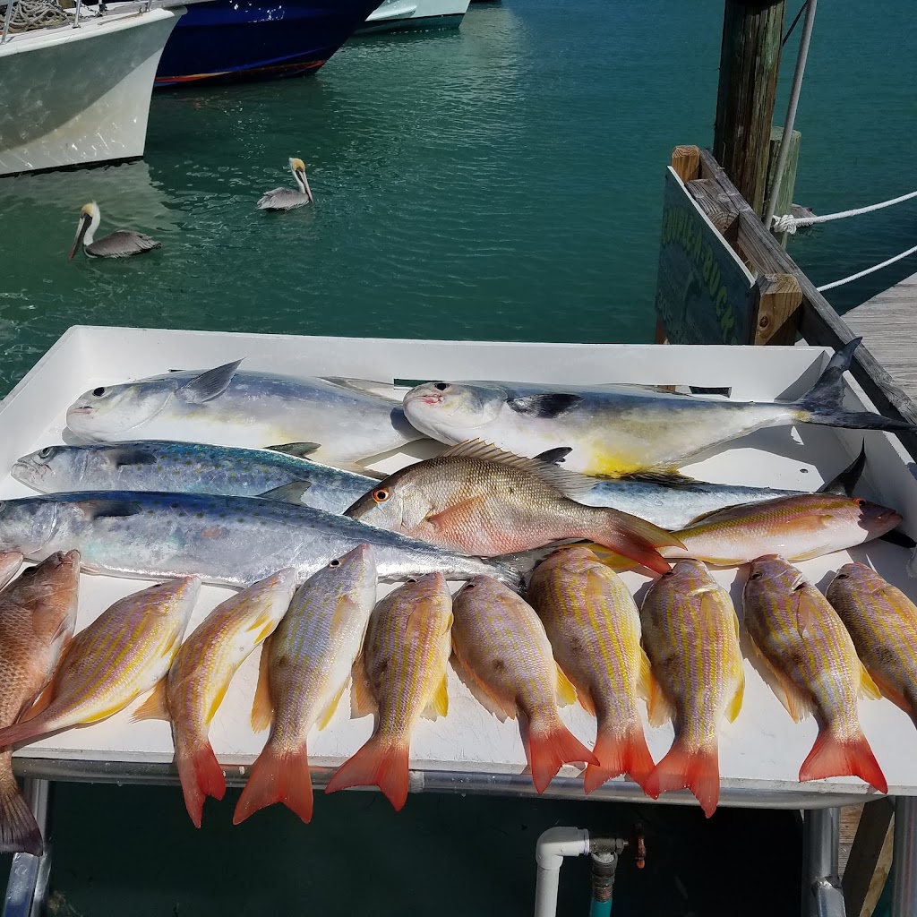 A Lil Tail Charters | 84001 Overseas Hwy, Islamorada, FL 33036, USA | Phone: (305) 522-2391