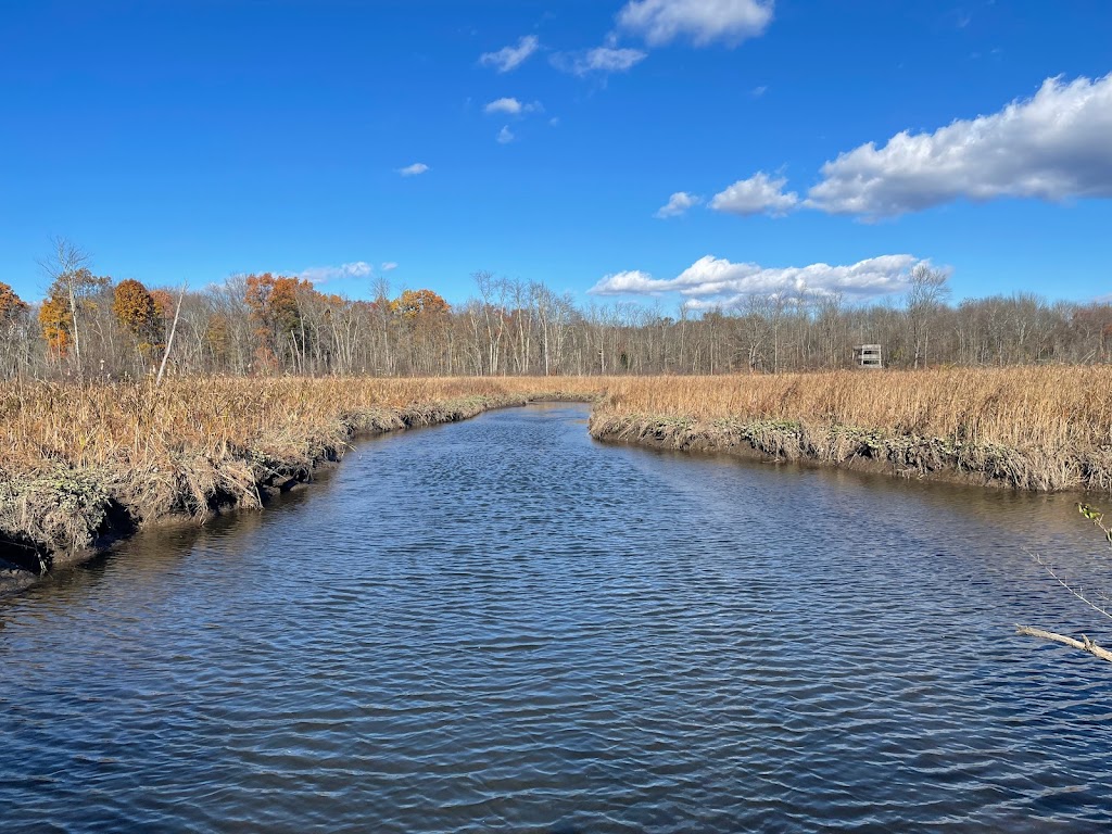 RamsHorn-Livingston Audubon Sanctuary | 109 Dubois Rd, Catskill, NY 12414, USA | Phone: (518) 325-5203