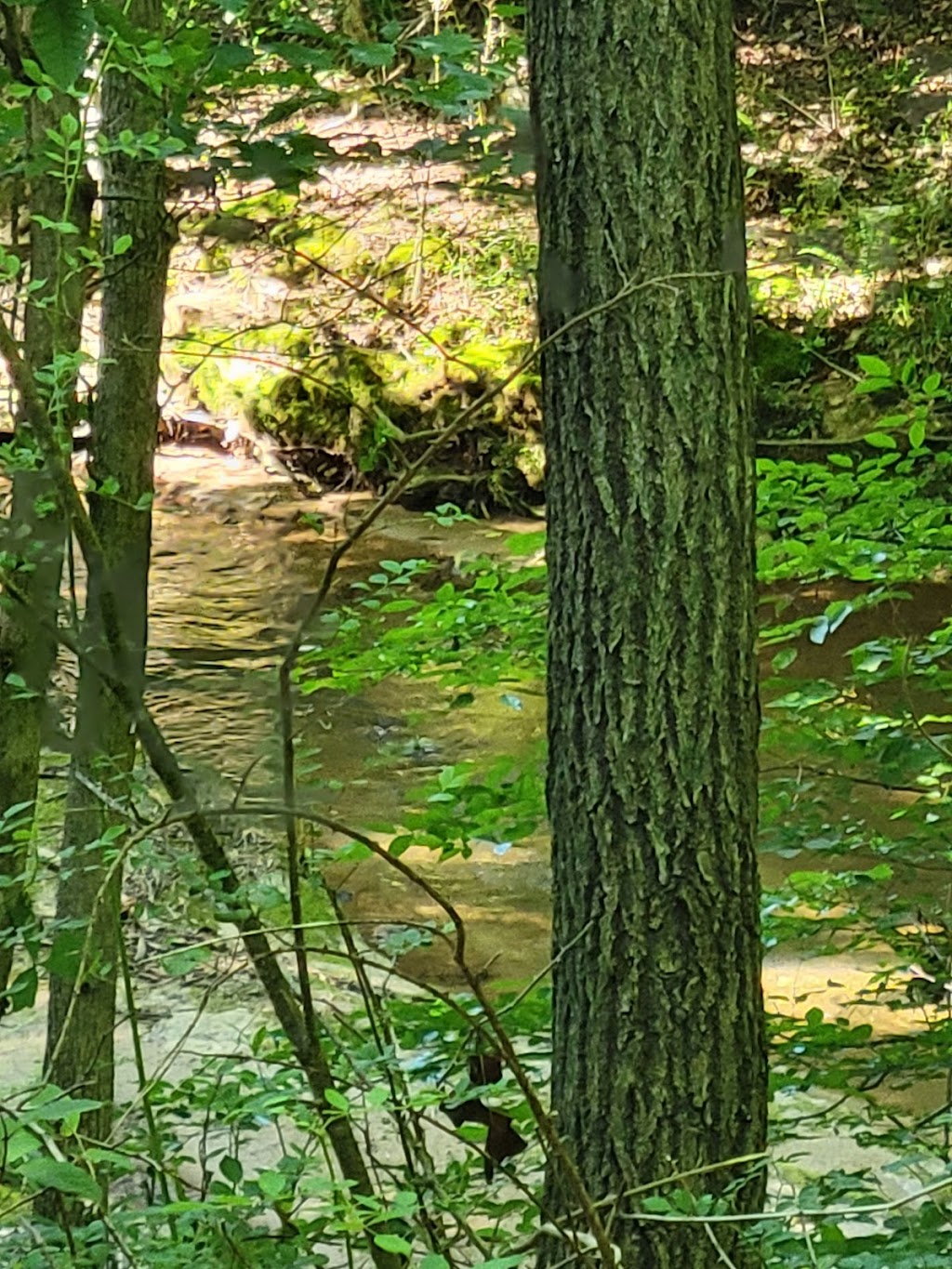 Heritage trail greenway | 1410 W 7th St, Newton, NC 28658, USA | Phone: (828) 465-7470