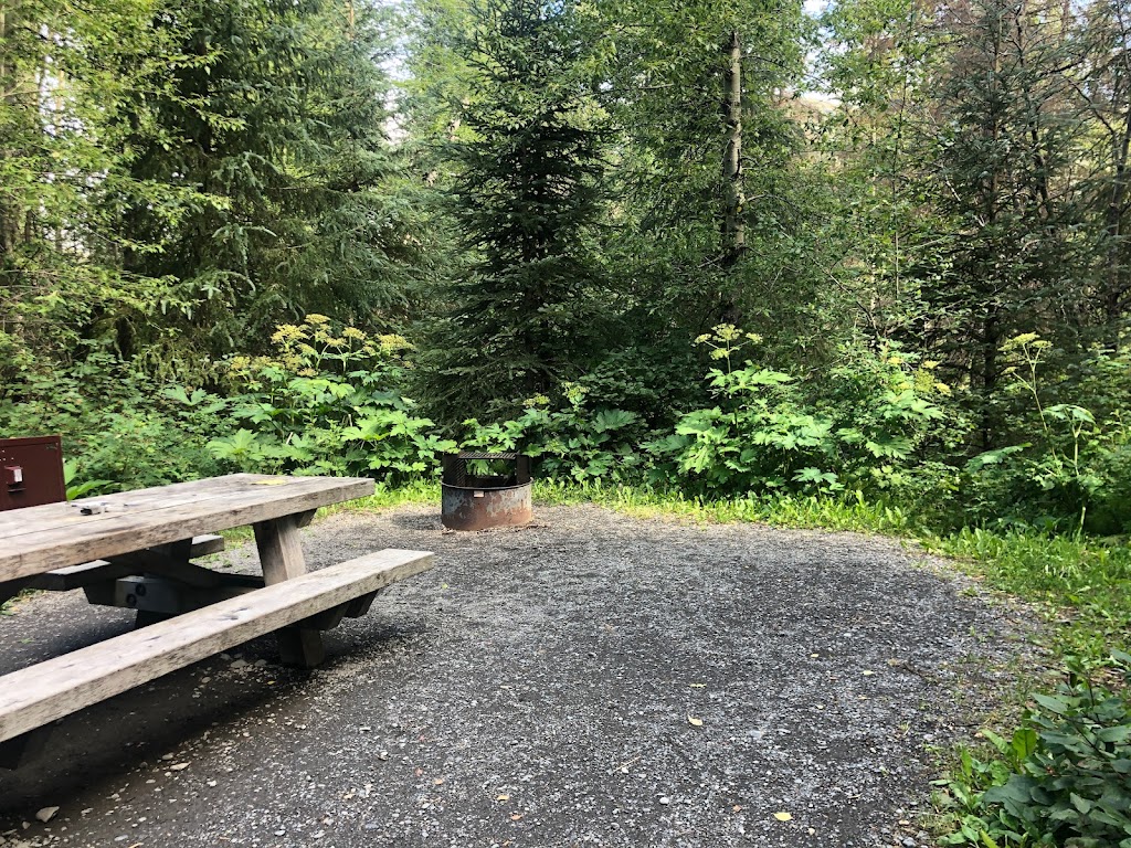 Cooper Creek Campground | Milepost 50.7 of the, Sterling Hwy, Cooper Landing, AK 99572, USA | Phone: (907) 288-3178