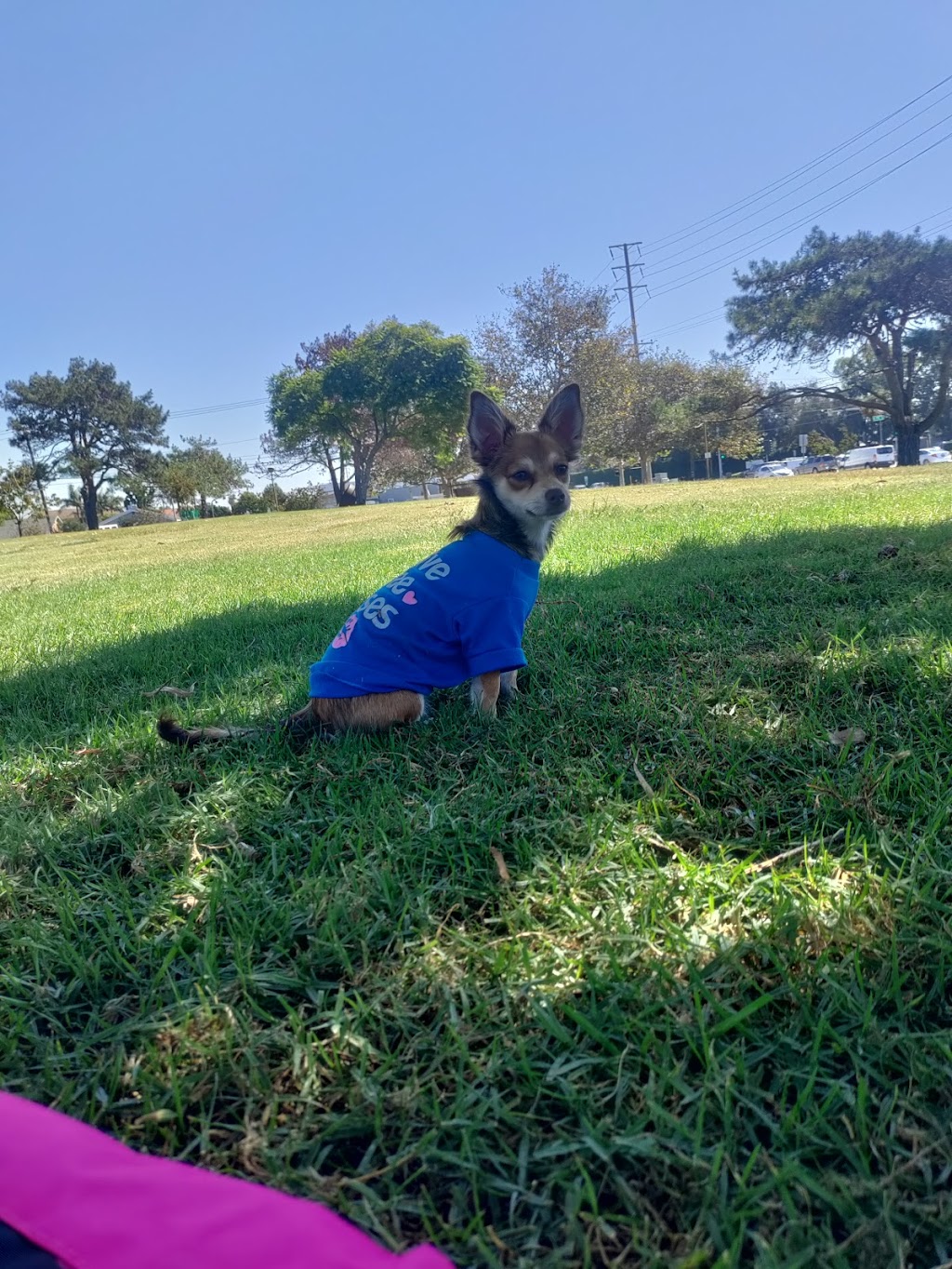 Columbia Park | 4045 190th St, Torrance, CA 90504, USA | Phone: (310) 328-5310 Columbia Park | 4045 190th St, Torrance, CA 90504, USA | Phone: (310) 328-5310