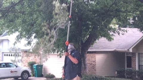 A-Affordable Tree Services | 1226 Benbrook Terrace, Fort Worth, TX 76126, USA | Phone: (800) 715-2713