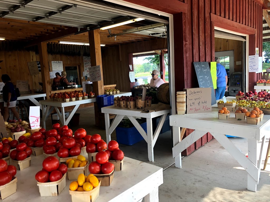 Gregs U-Pick Farm Market and CSA | 9270 Lapp Rd, Clarence Center, NY 14032, USA | Phone: (716) 741-4239