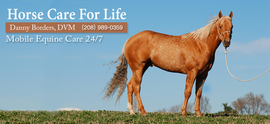 Borders Equine Clinic | 7518 Lanktree Ln, Middleton, ID 83644, USA | Phone: (208) 989-0359