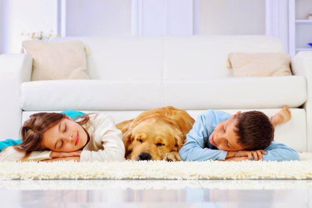 Quality Care Carpet Cleaning | 2509 Shepard Ln, Corinth, TX 76210, USA | Phone: (940) 206-2372