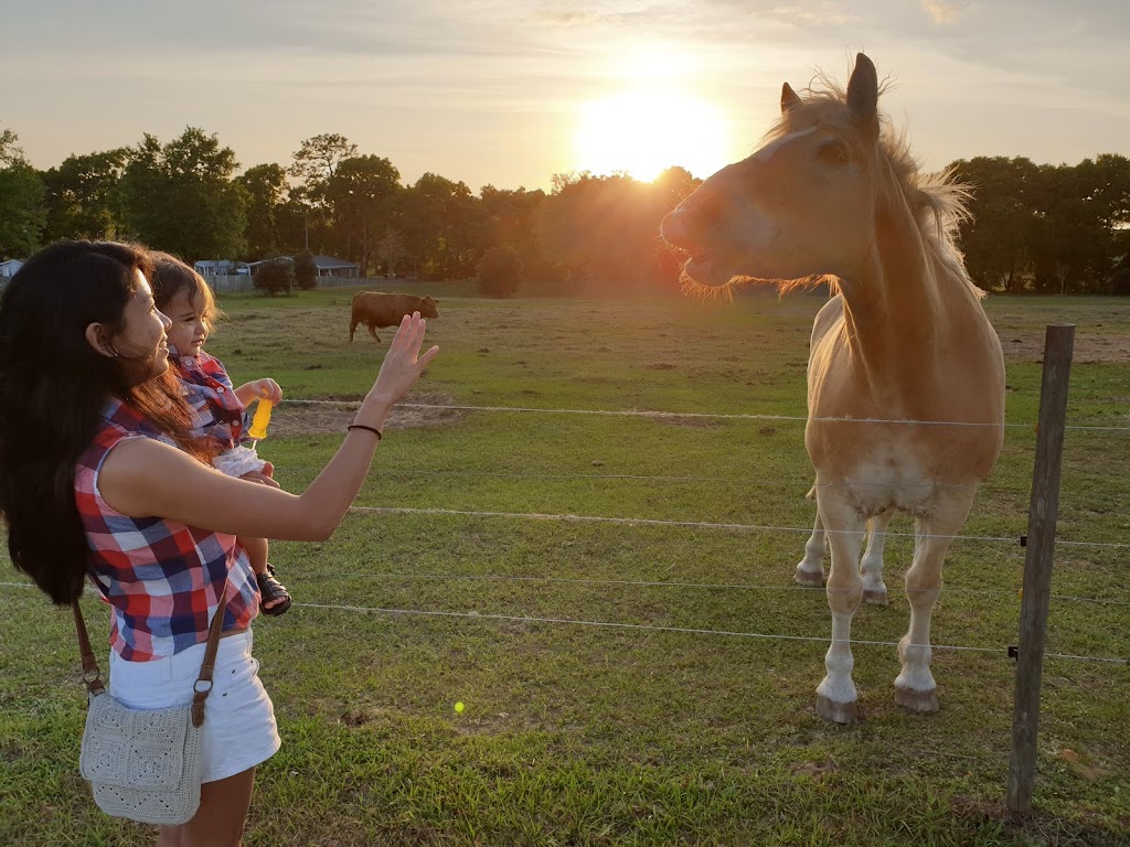 Sunburst RV Park | 17031 US-301, Dade City, FL 33523, USA | Phone: (352) 567-3411