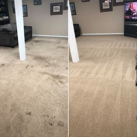 Heavens Best Carpet Cleaning Raleigh NC | 909 Wade Ave, Garner, NC 27529, USA | Phone: (919) 250-0940