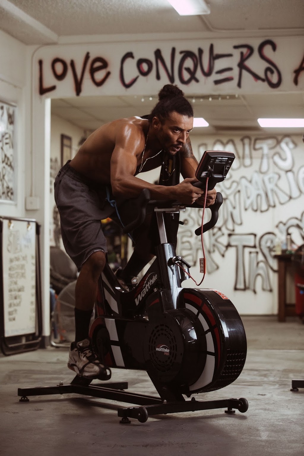 STLA Gym | 4365 W Pico Blvd, Los Angeles, CA 90019, USA | Phone: (323) 424-3436