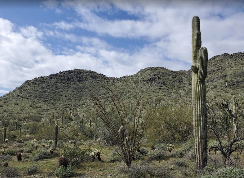 Go John Trail Trailhead Parking | Go John Trail, Cave Creek, AZ 85331, USA | Phone: (623) 465-0431