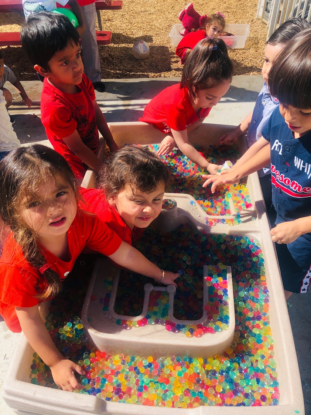 Little Learners Academy | 8131 Tampa Ave, Reseda, CA 91335, USA | Phone: (818) 280-6221