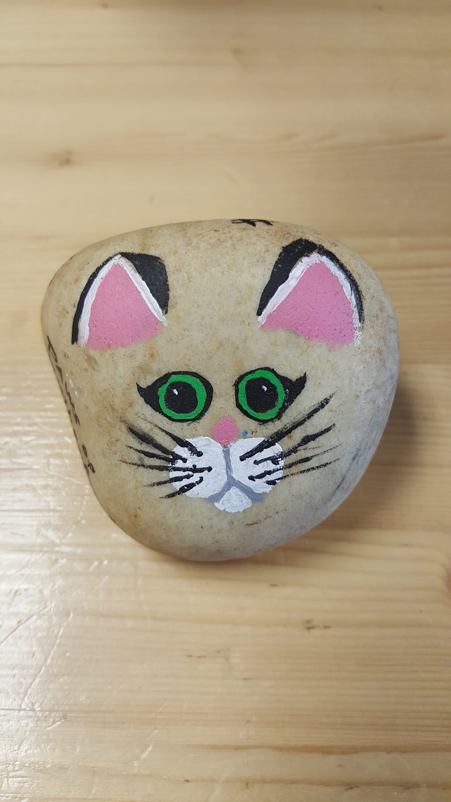 Licker & Whine Pet Market | 3419 Memorial Blvd B1, Murfreesboro, TN 37129, USA | Phone: (615) 203-5400