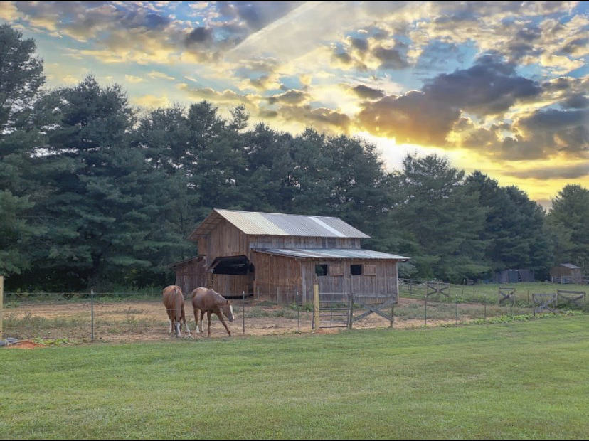 Holly Ridge Family Camp Ground | 5140 River Rd, Boonville, NC 27011, USA | Phone: (336) 367-7756