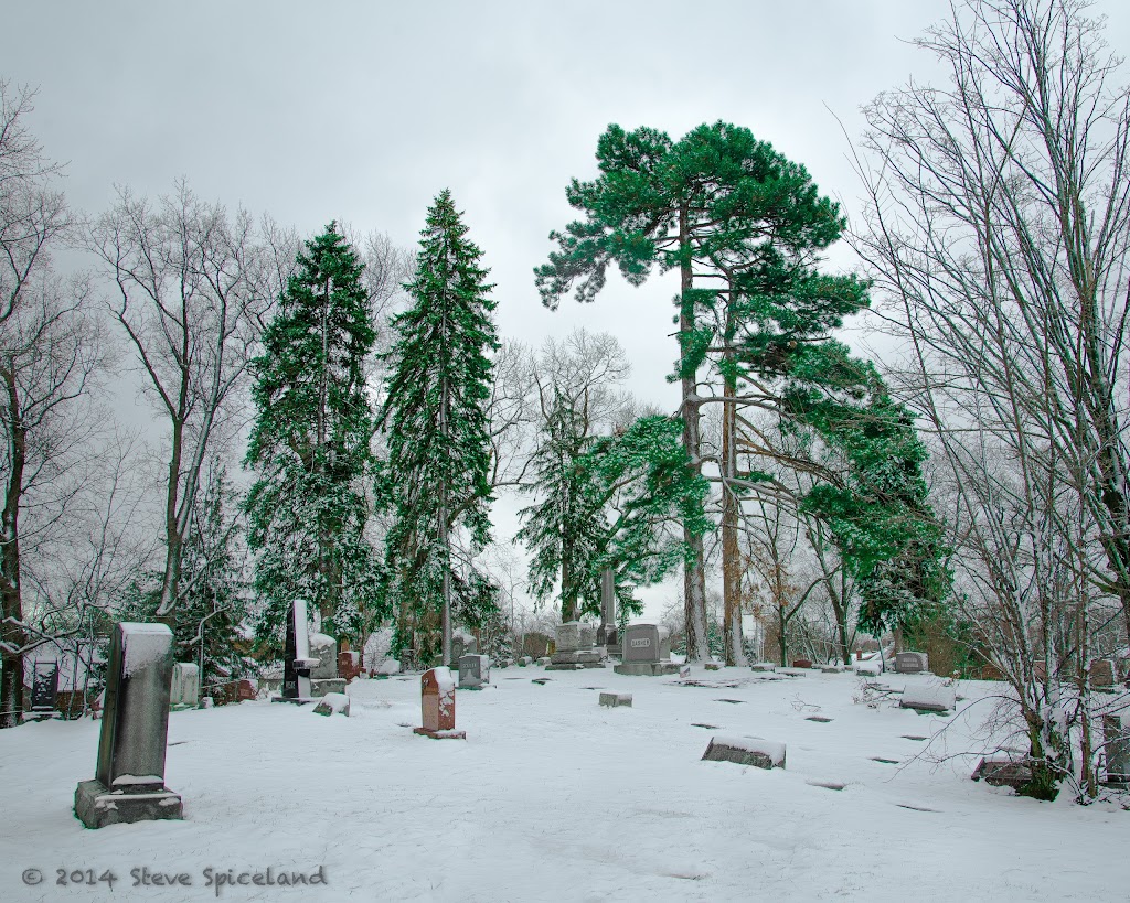 Northview Cemetery | Dearborn, MI 48124, USA | Phone: (313) 565-0005