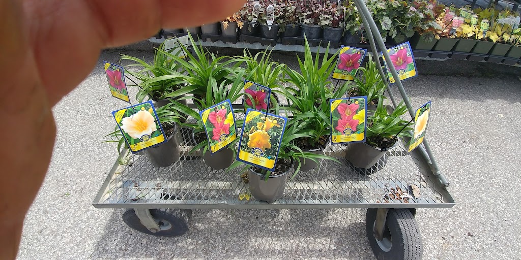 Provincial Nursery & Garden Centre | 2191 Provincial Rd, Windsor, ON N8W 5V7, Canada | Phone: (519) 969-4871