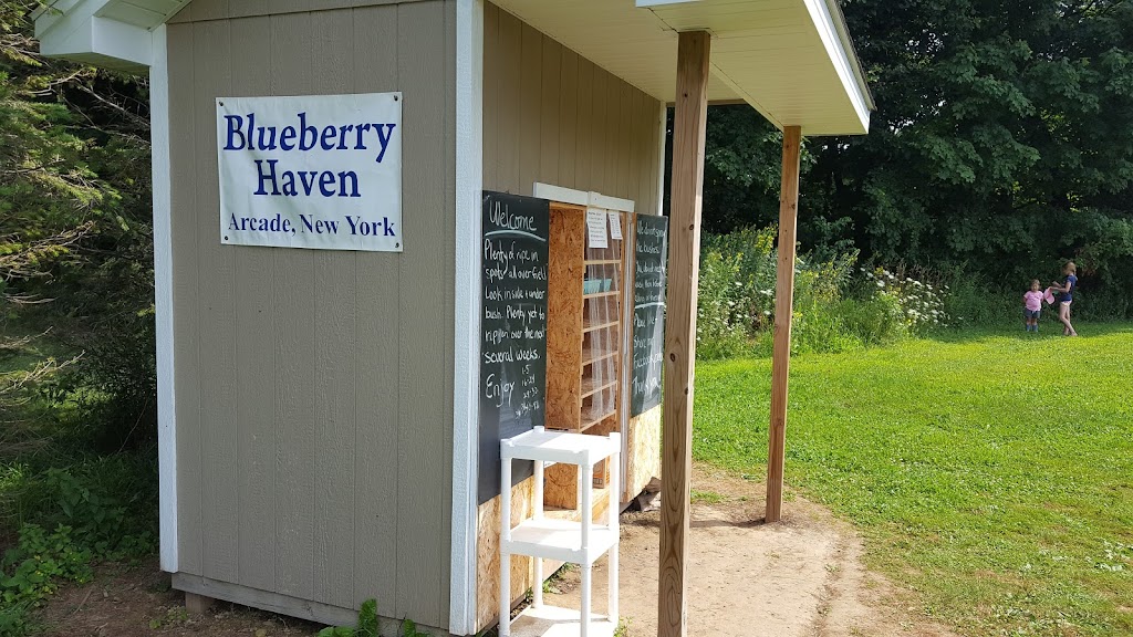 Blueberry Haven | 1567 Genesee Rd, Arcade, NY 14009, USA | Phone: (716) 353-3029