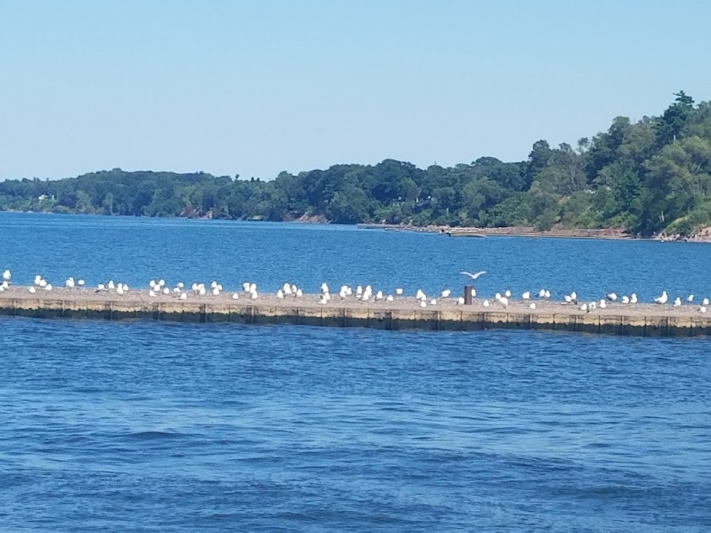 Lighthouse Motel | 1564 Van Buren St, Burt, NY 14028, USA | Phone: (716) 778-7270