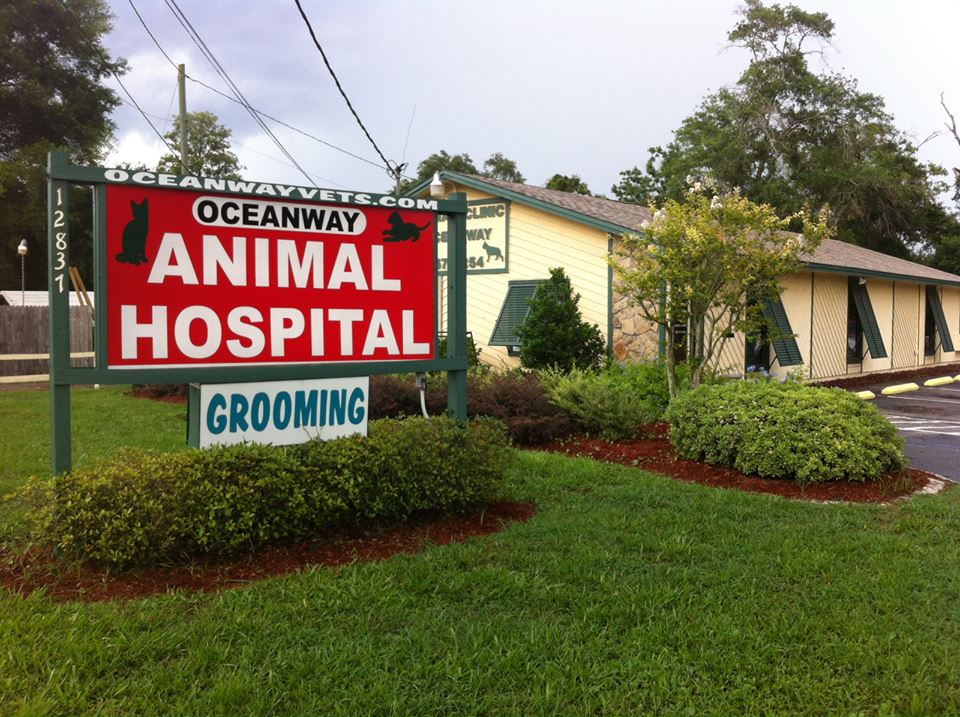 Animal Hospital of Oceanway | 12837 N Main St, Jacksonville, FL 32218, USA | Phone: (904) 757-4254