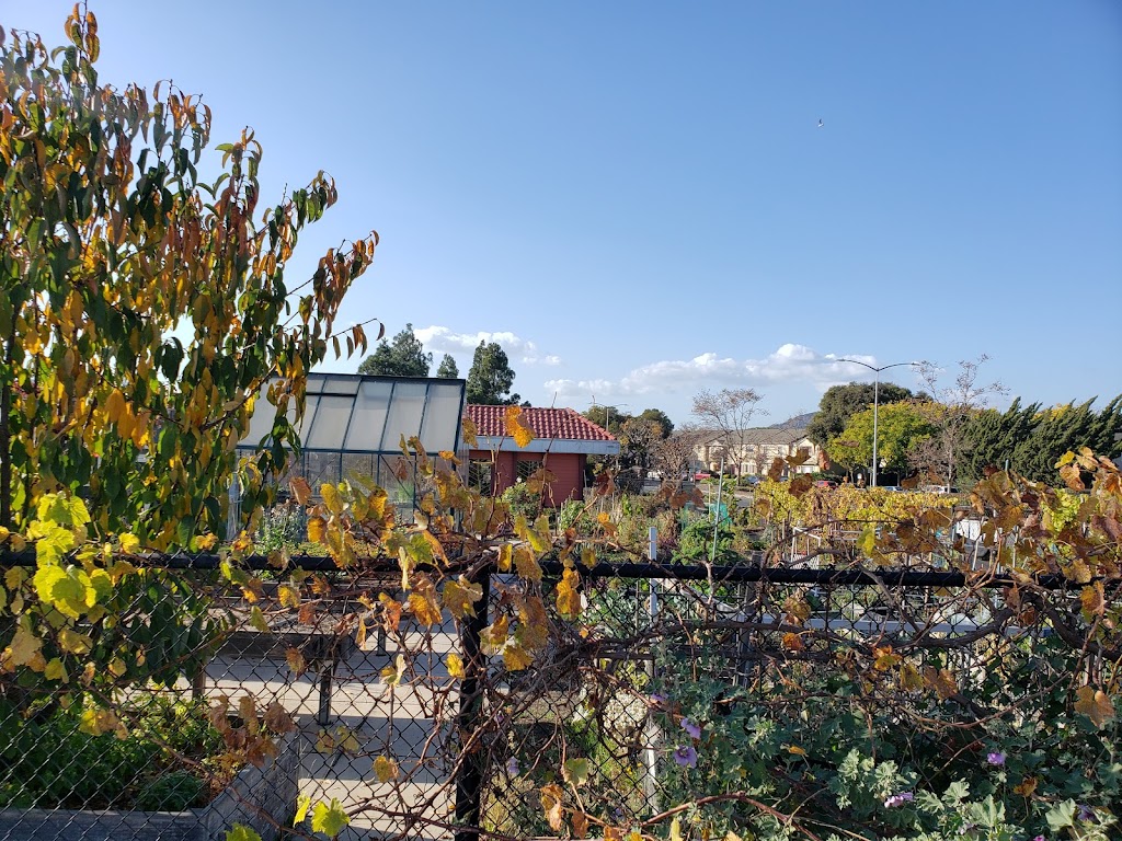 Canal Community Garden | 009 280-08, San Rafael, CA 94901 | Phone: (415) 485-3328