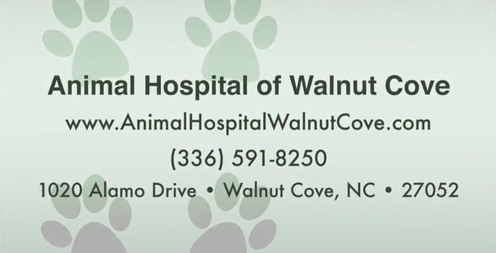 Animal Hospital of Walnut Cove | 1020 Alamo Dr, Walnut Cove, NC 27052, USA | Phone: (336) 591-8250