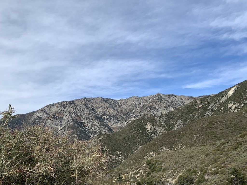 Cucamonga Wilderness | W Cucamonga Truck Trail, Lytle Creek, CA 92358, USA | Phone: (909) 382-2851