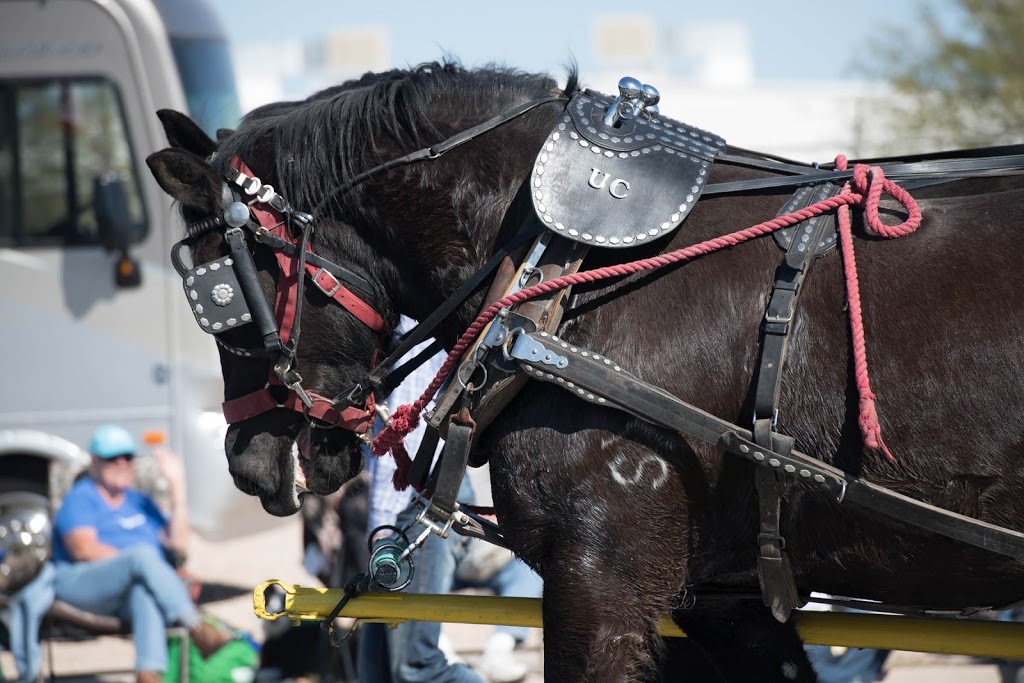 Tucson Rodeo Parade Museum | 4823 S 6th Ave, Tucson, AZ 85714, USA | Phone: (520) 294-3636