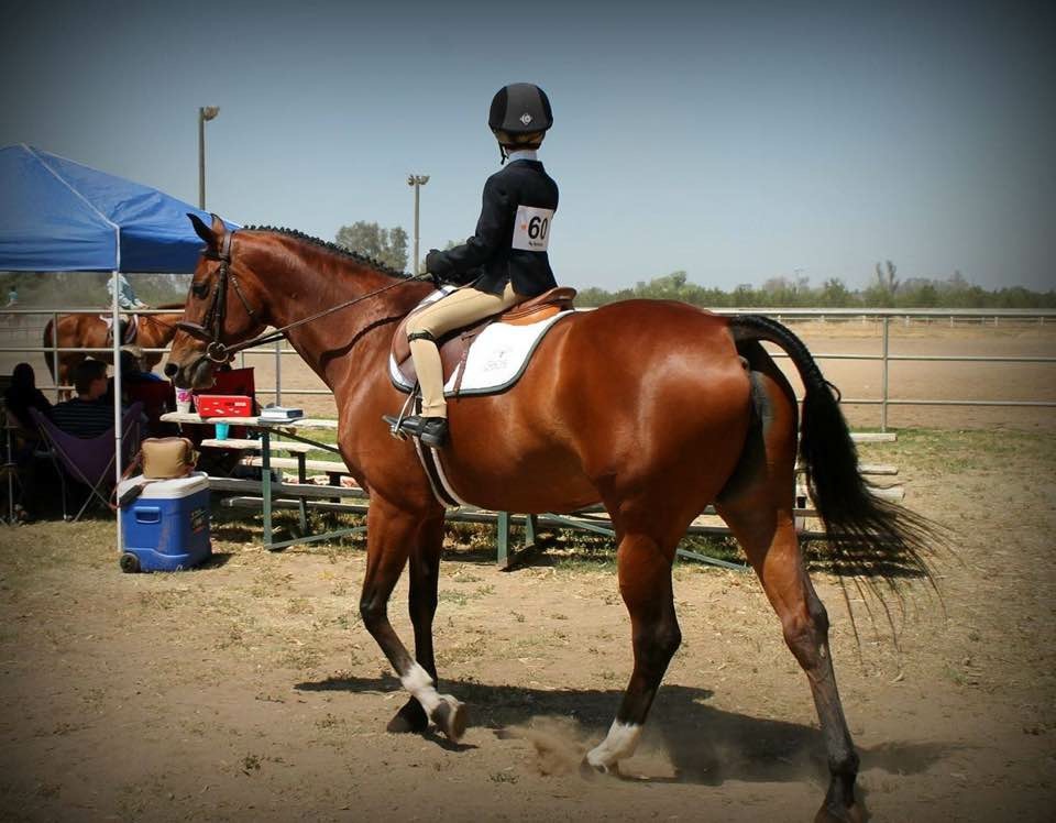 Circle T Ranch | 20010 Fargo Ave, Lemoore, CA 93245, USA | Phone: (559) 288-9537