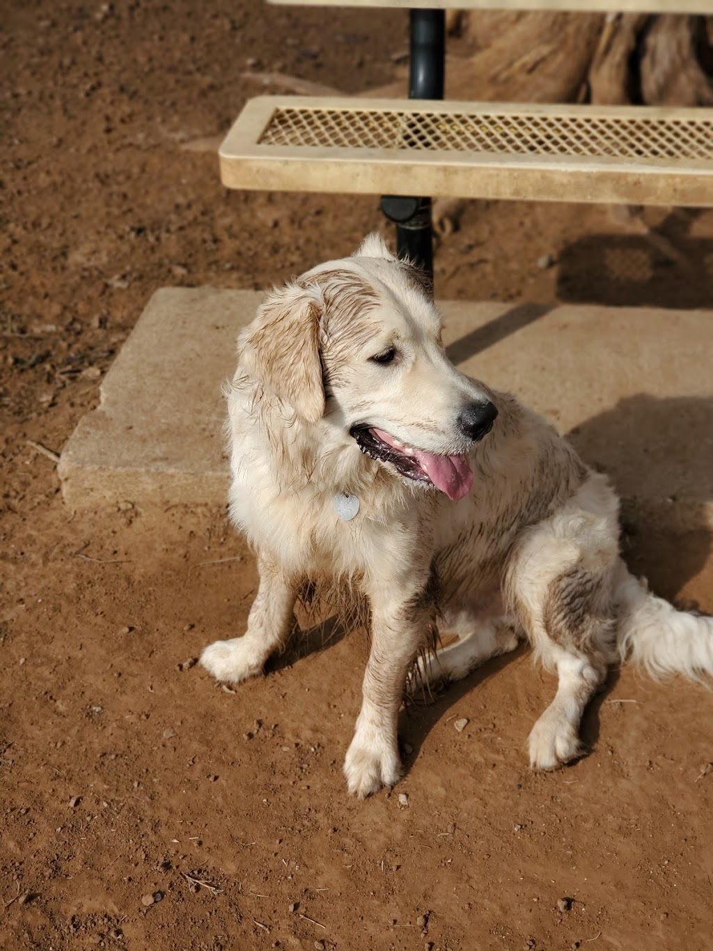 Norman Community Dog Park | 1001 E Robinson St, Norman, OK 73071, USA | Phone: (405) 249-7526