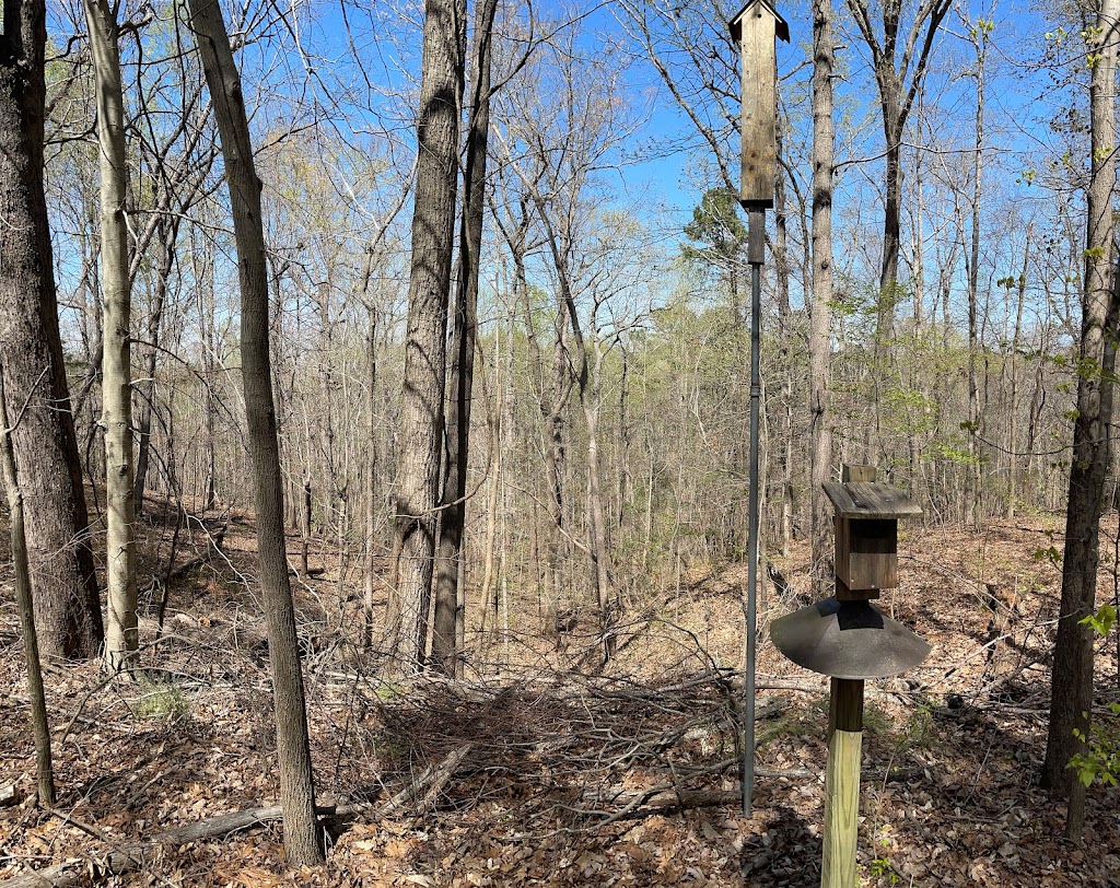 Hemlock Bluffs Nature Preserve | 2616 Kildaire Farm Rd, Cary, NC 27518, USA | Phone: (919) 387-5980