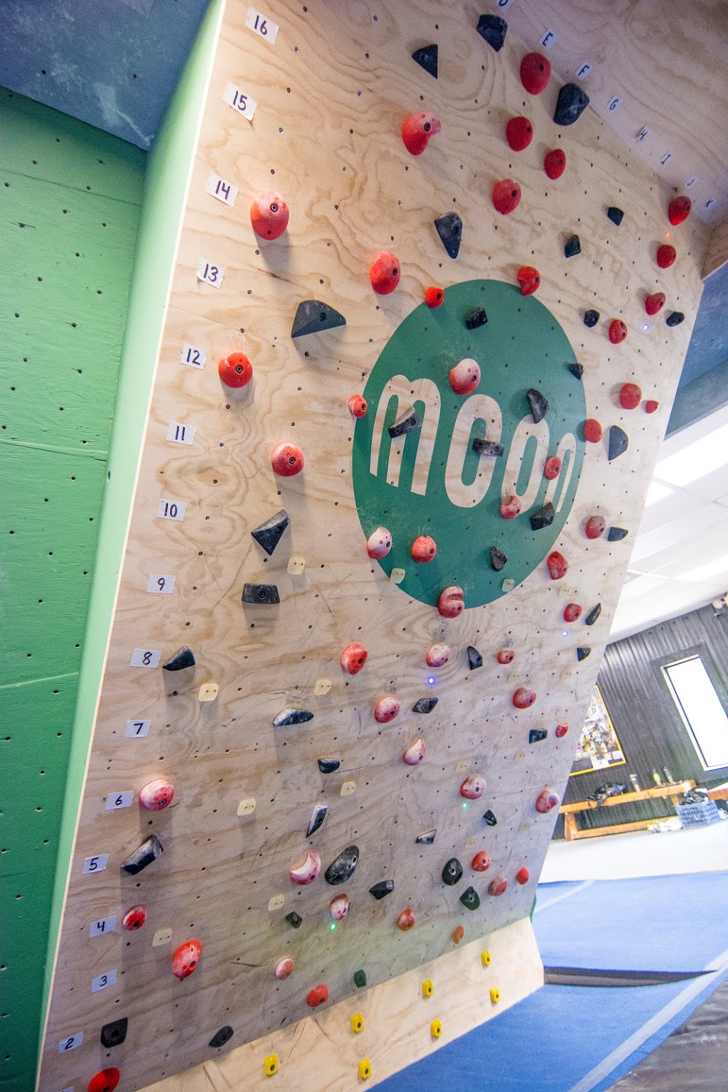 The Ultimate Climbing Gym | 6904 Downwind Road REAR entrance, Greensboro, NC 27409 | Phone: (336) 550-4107