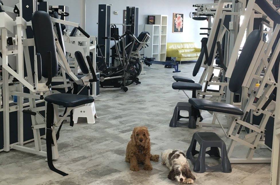 Kelly Personal Training | 12518 Research Blvd Ste. K, Austin, TX 78759, USA | Phone: (512) 964-8787