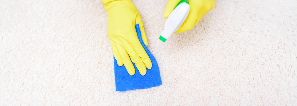 The Giants Carpet Cleaning | 9300 Tech Center Dr STE 368, Sacramento, CA 95826, USA | Phone: (916) 800-0956