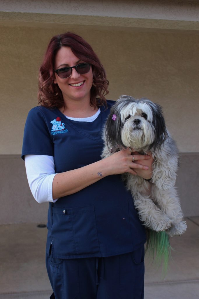 American Pet Hospital | 3879 E Sunset Rd, Las Vegas, NV 89120, USA | Phone: (702) 454-7740