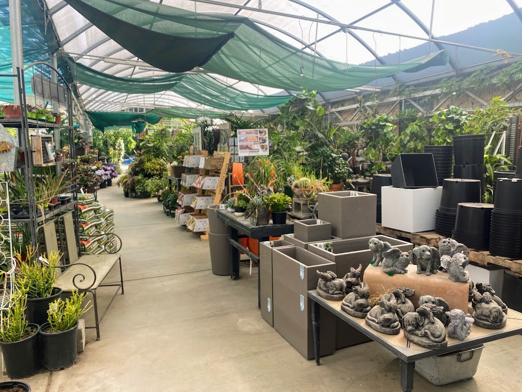 Fair Oaks Boulevard Nursery | 4681 Fair Oaks Blvd, Sacramento, CA 95864, USA | Phone: (916) 483-1830