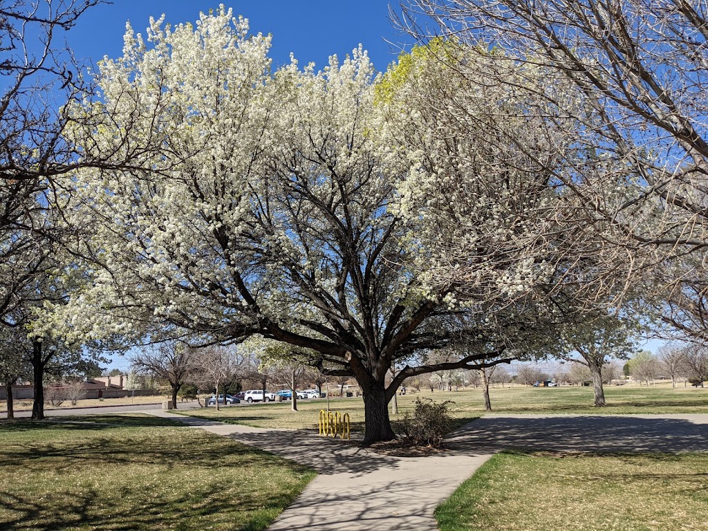 Heritage Hills Park | 7015 Ventura Ave NE, Albuquerque, NM 87109, USA | Phone: (505) 768-5300