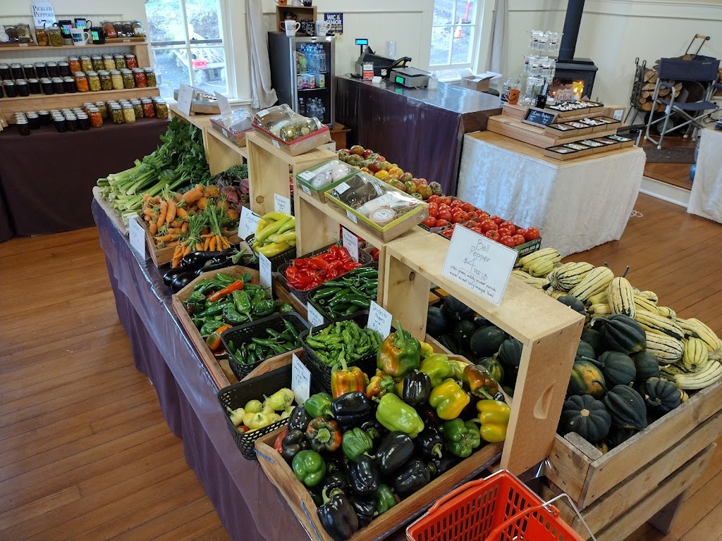 Artondale Farm Store & Nursery | 5925 Artondale Dr NW, Gig Harbor, WA 98335 | Phone: (253) 313-3945