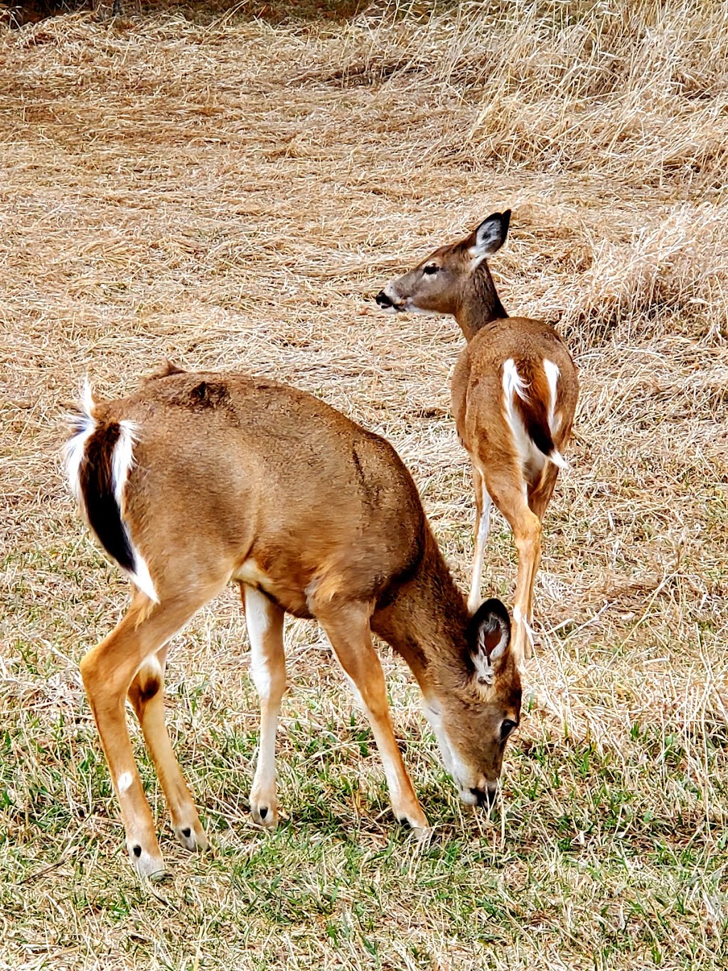 Chalco Hills Recreation Area | 8901 S 154th St, Omaha, NE 68138, USA | Phone: (402) 444-6222