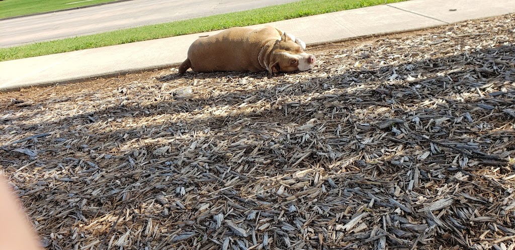 Norman Community Dog Park | 1001 E Robinson St, Norman, OK 73071, USA | Phone: (405) 249-7526