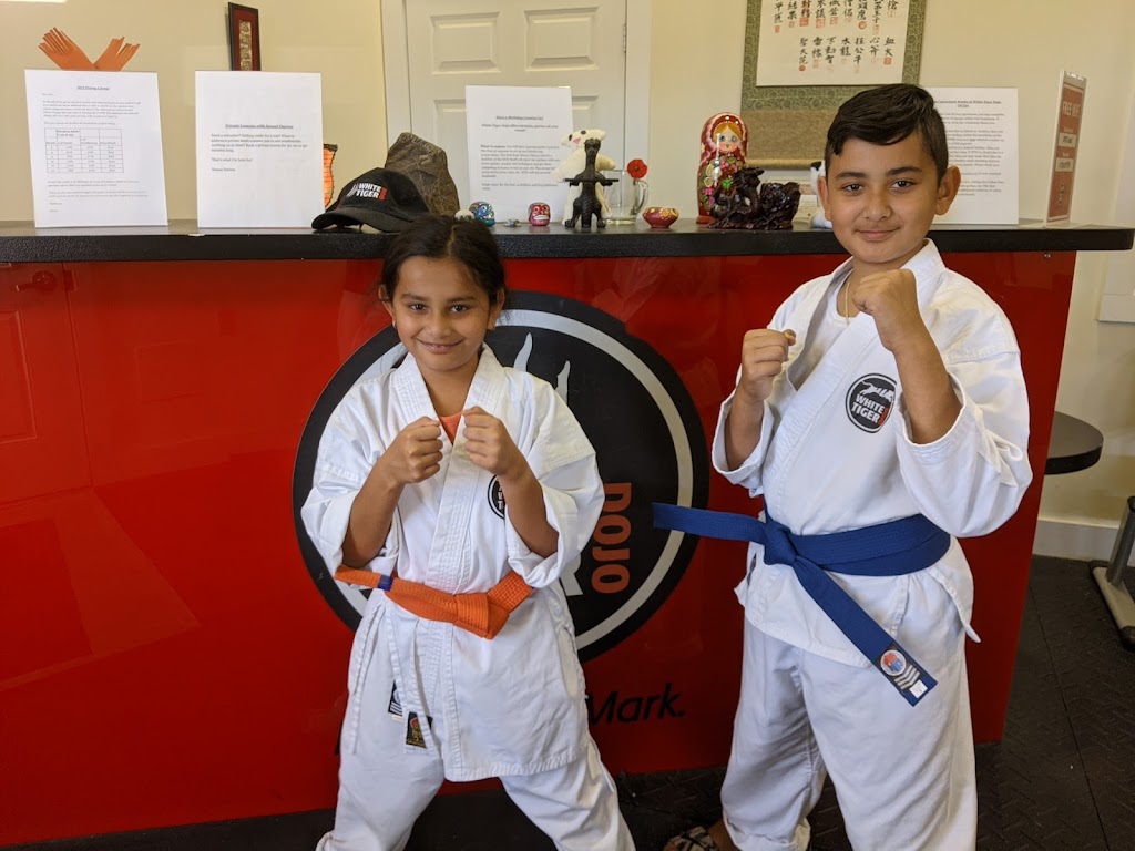 White Tiger Dojo | 99 Industrial Rd, Berkeley Heights, NJ 07922, USA | Phone: (908) 665-8983