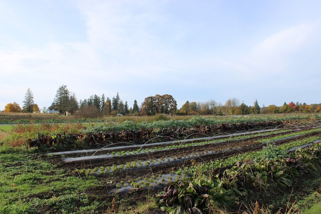 Stoneboat Farm | 10850 NW Jackson Quarry Rd, Hillsboro, OR 97124, USA | Phone: (503) 647-7406