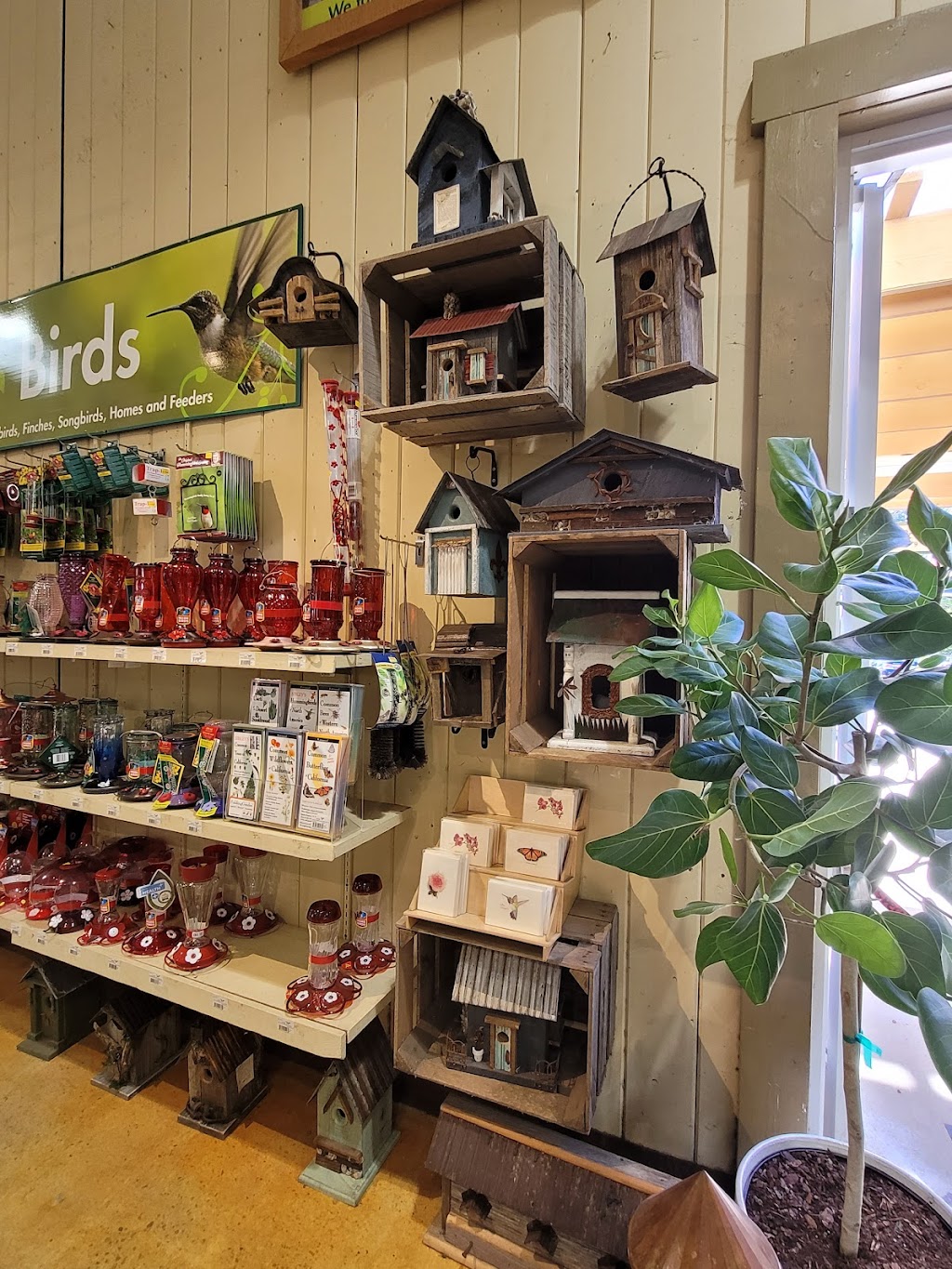 Armstrong Garden Centers | 1500 East Coast Hwy, Newport Beach, CA 92660, USA | Phone: (949) 644-9510