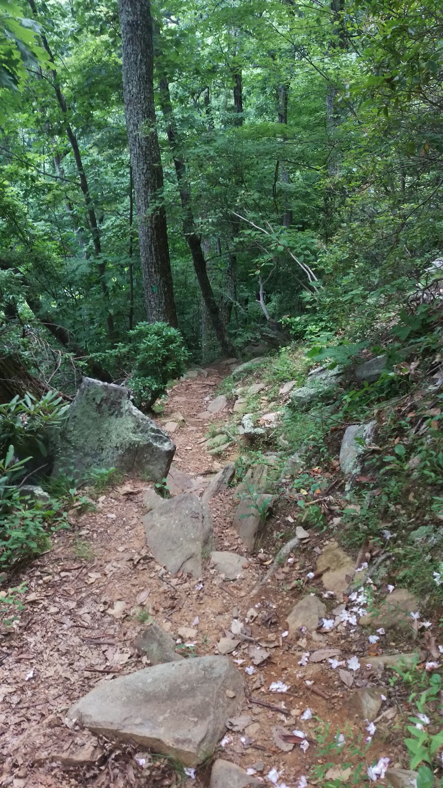 Blue Ridge Parkway Rocky Knob Information Center | 1670 Blue Rdg Pkwy, Floyd, VA 24091, USA | Phone: (540) 745-9660