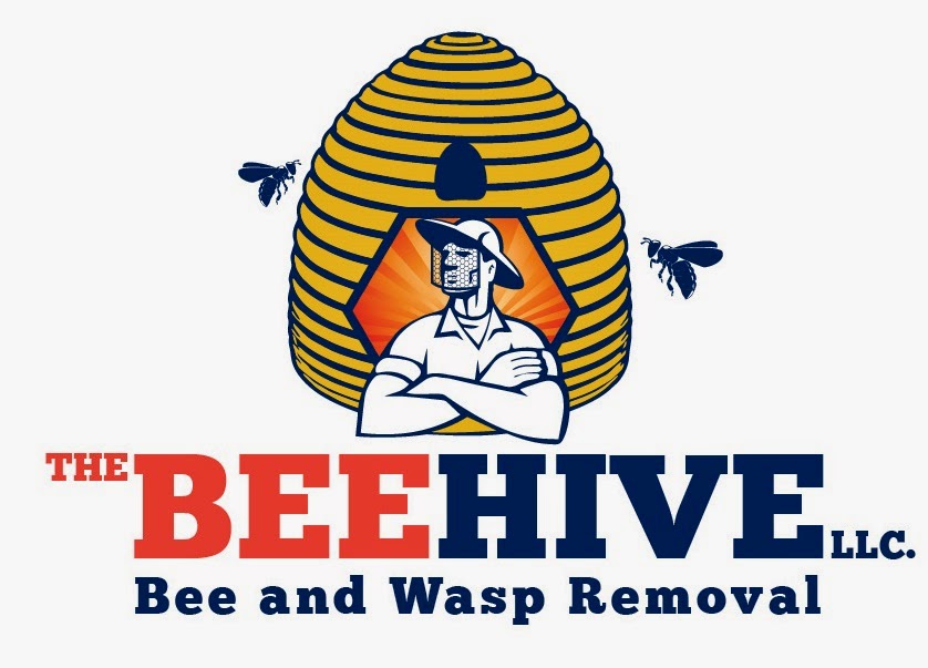 The Beehive Bee and Wasp Removal | 5227 W Harmont Dr, Glendale, AZ 85302 | Phone: (602) 600-5382