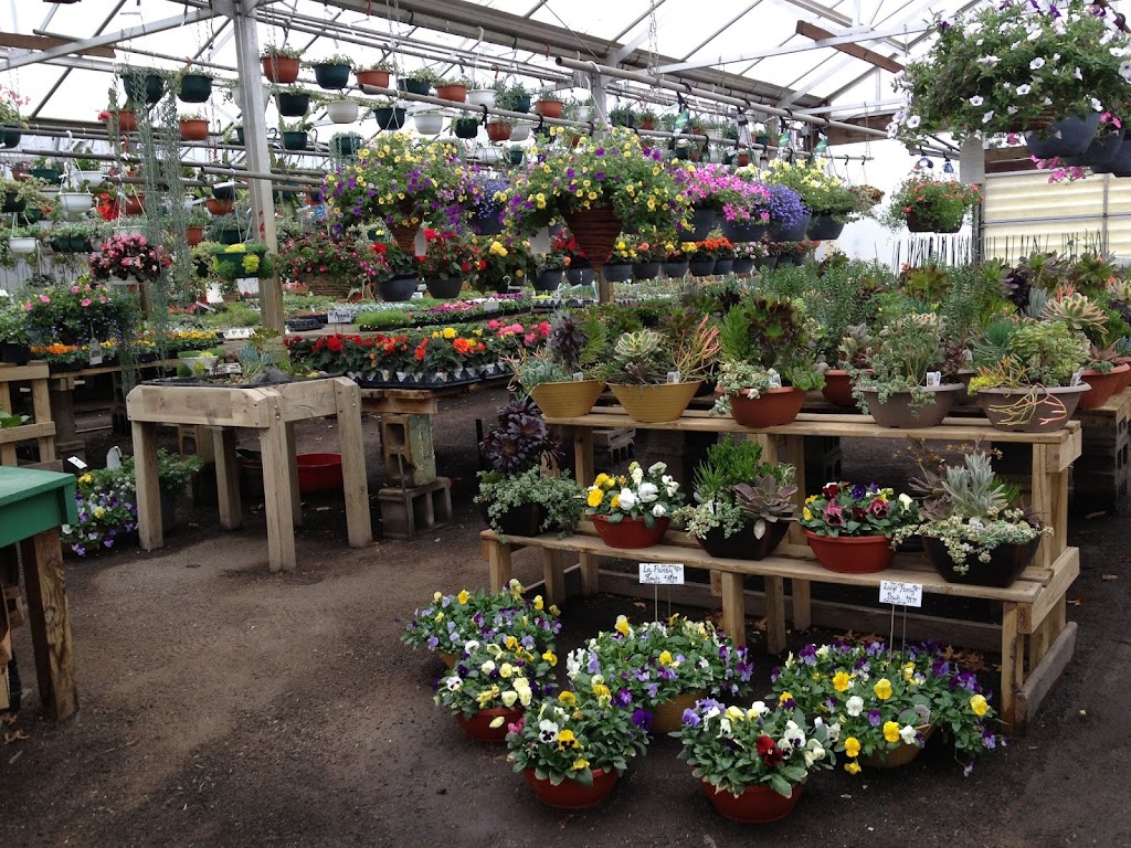 Waynes Nursery & Greenhouse | 9001, 6196 Athens Trail, Stacy, MN 55079 | Phone: (651) 462-1500