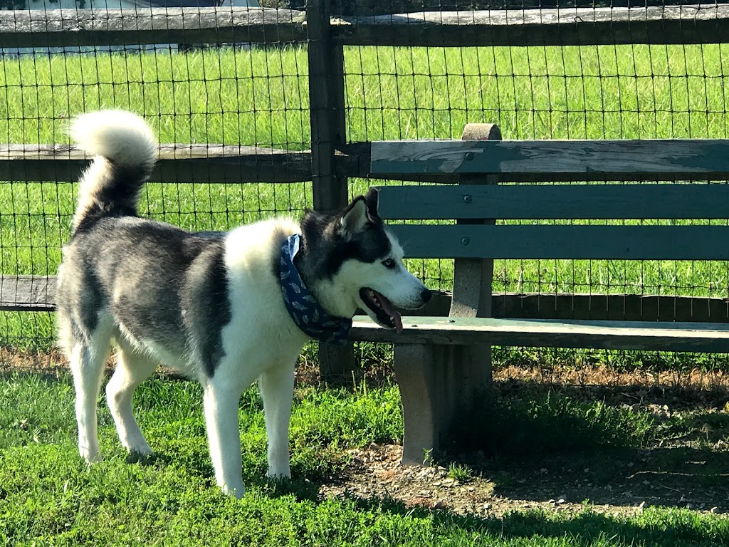 Tails n Trails Dog Park | 841 Page Rd, Aurora, OH 44202, USA | Phone: (330) 562-4333