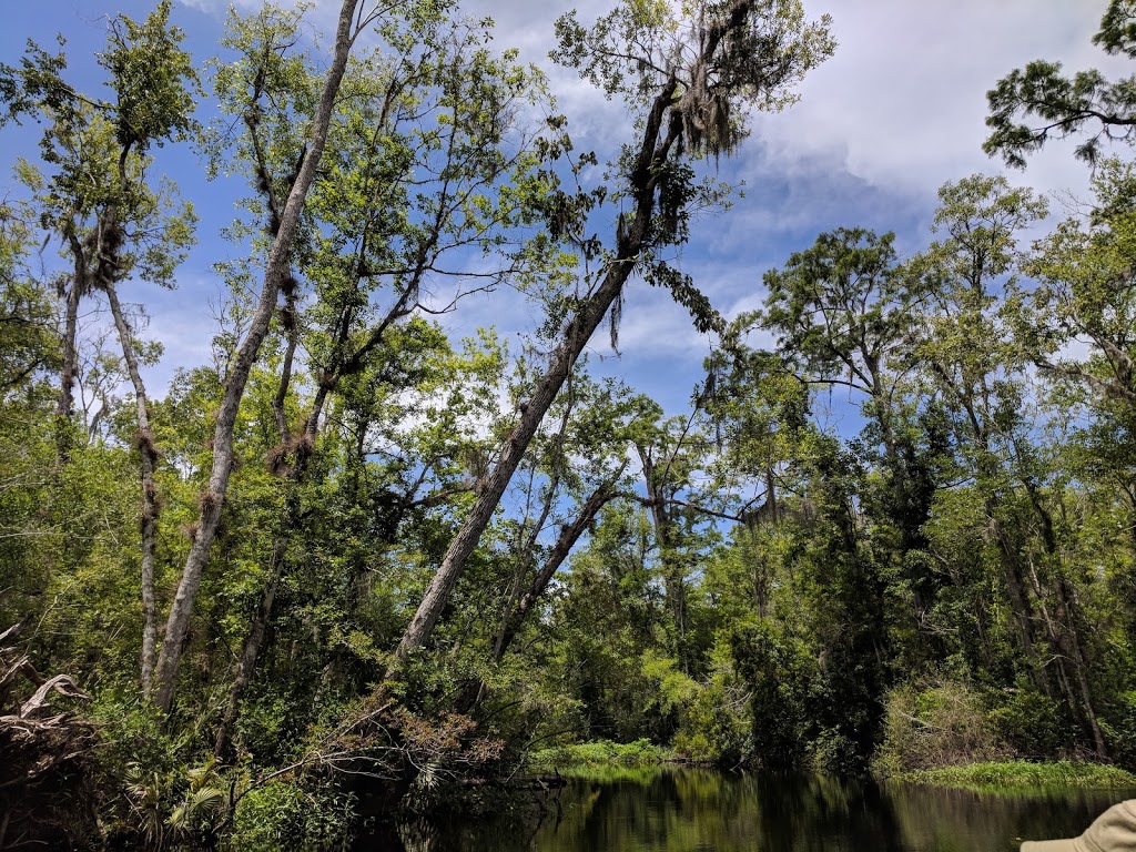 Four Creeks WMA | 56000 Dixon Tr, Callahan, FL 32011, USA | Phone: (904) 845-3597