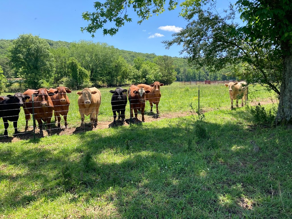 dixie-meat-processing-in-1485-lincoln-rd-oneonta-al-35121-usa