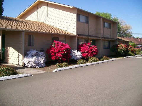 The Reef Apartments | 5200 SW 141st Ave, Beaverton, OR 97005, USA | Phone: (503) 646-3358